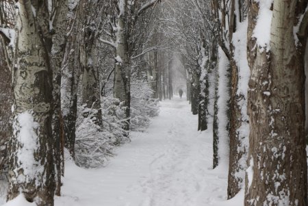 Зимняя сказка одесских улиц (фоторепортаж)