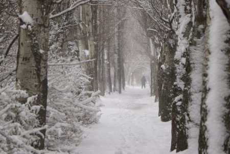Зимняя сказка одесских улиц (фоторепортаж)