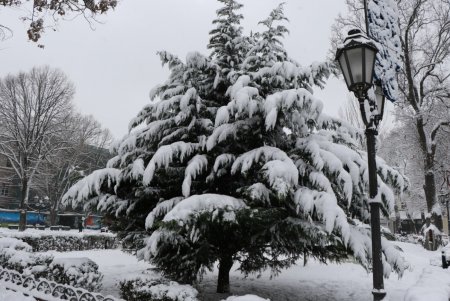 Зимняя сказка одесских улиц (фоторепортаж)