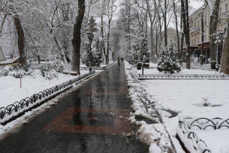 Зимняя сказка одесских улиц (фоторепортаж)