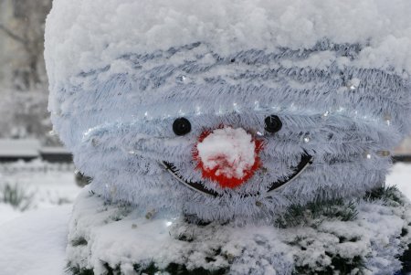 Зимняя сказка одесских улиц (фоторепортаж)