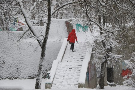 Зимняя сказка одесских улиц (фоторепортаж)