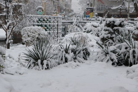 Зимняя сказка одесских улиц (фоторепортаж)