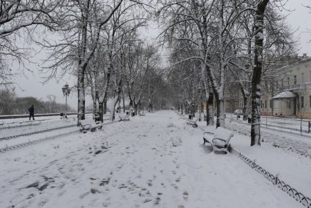 Зимняя сказка одесских улиц (фоторепортаж)