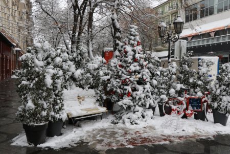 Зимняя сказка одесских улиц (фоторепортаж)