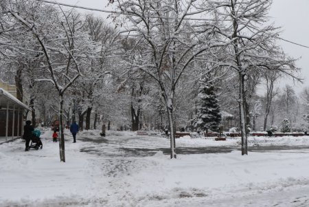 Зимняя сказка одесских улиц (фоторепортаж)
