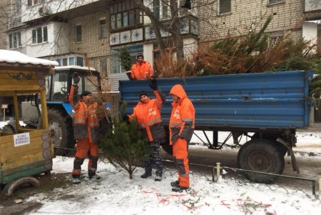 В Приморском районе уже вывозят полные грузовики елок, которые сдали одесситы в обмен на конфеты