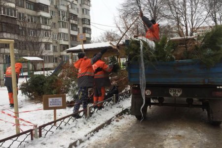 В Приморском районе уже вывозят полные грузовики елок, которые сдали одесситы в обмен на конфеты