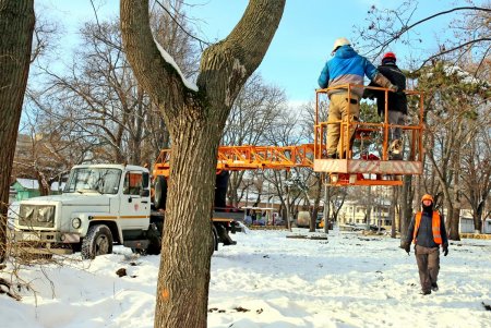 Преображение Алексеевского сквера (фоторепортаж)
