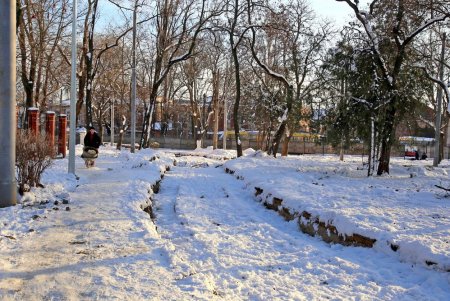 Преображение Алексеевского сквера (фоторепортаж)