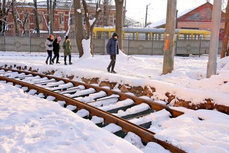 Преображение Алексеевского сквера (фоторепортаж)