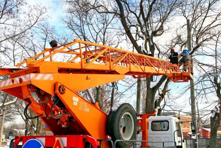 Преображение Алексеевского сквера (фоторепортаж)