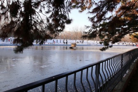 Морозный воскресный день в парке Победы (фоторепортаж)