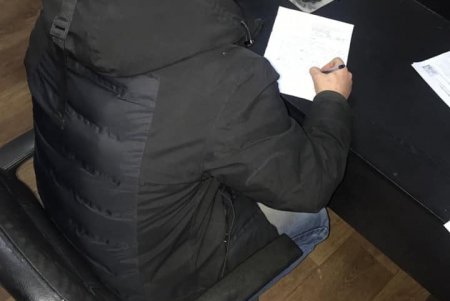 Задержан один из вандалов, спиливших сосны в парке Победы (фото)
