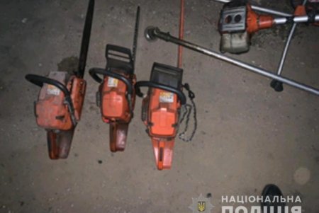 В Одесской области «черные» лесорубы нанесли ущерб государству на 1,3 млн. гривен (фото)
