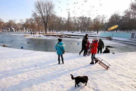 В Дюковский сад пришла оттепель (фоторепортаж) 