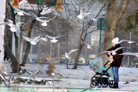 В Дюковский сад пришла оттепель (фоторепортаж) 