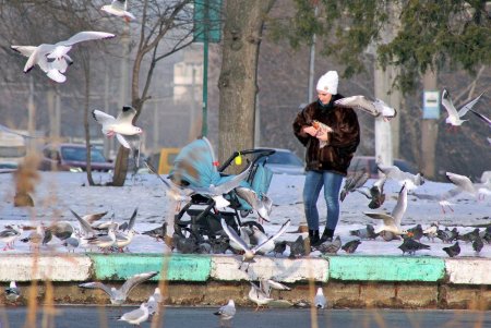 В Дюковский сад пришла оттепель (фоторепортаж) 