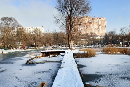В Дюковский сад пришла оттепель (фоторепортаж) 