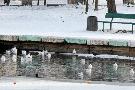 В Дюковский сад пришла оттепель (фоторепортаж) 