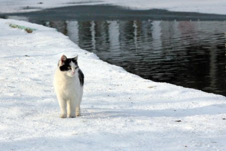 В Дюковский сад пришла оттепель (фоторепортаж) 
