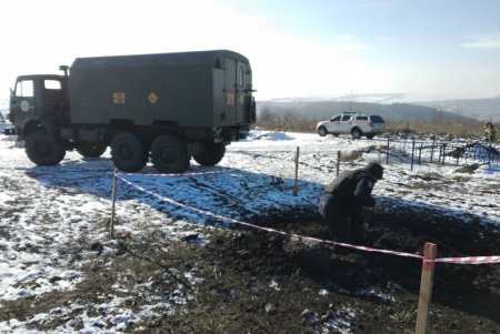 В Подольске на кладбище местный житель обнаружил снаряд времен Второй мировой (фото)
