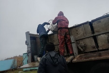 Почти 10 миллионов мальков вселили в водоемы региона в прошлом году