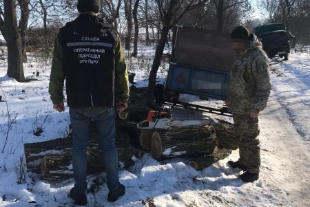 В Белгород-Днестровском районе «черные лесорубы» сожгли собственный автомобиль, пытаясь избавиться от улик (фото)