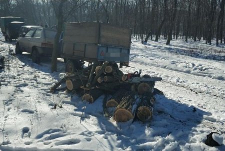 В Белгород-Днестровском районе «черные лесорубы» сожгли собственный автомобиль, пытаясь избавиться от улик (фото)