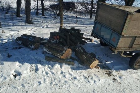В Белгород-Днестровском районе «черные лесорубы» сожгли собственный автомобиль, пытаясь избавиться от улик (фото)