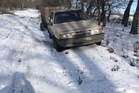 В Белгород-Днестровском районе «черные лесорубы» сожгли собственный автомобиль, пытаясь избавиться от улик (фото)