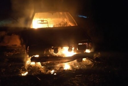 В Белгород-Днестровском районе «черные лесорубы» сожгли собственный автомобиль, пытаясь избавиться от улик (фото)