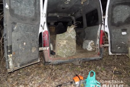 В Одесской области правоохранители задержали «черных лесорубов» (фото)