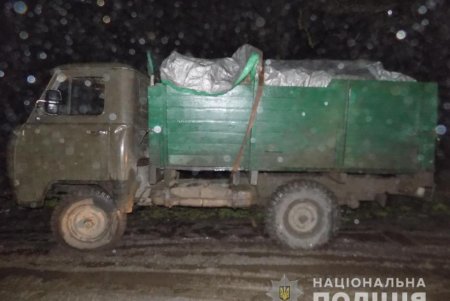 В Одесской области правоохранители задержали «черных лесорубов» (фото)