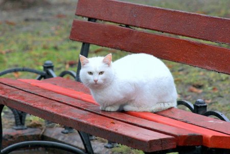 Вторник в Одессе выдался дождливым (фоторепортаж) 