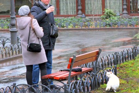Вторник в Одессе выдался дождливым (фоторепортаж) 