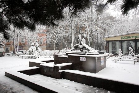 Сильнейший за последние годы снежный шторм в Одессе (фоторепортаж)