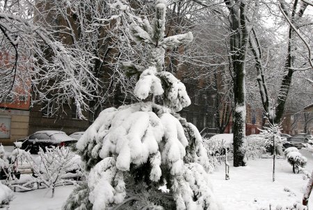 Сильнейший за последние годы снежный шторм в Одессе (фоторепортаж)
