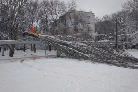 Коммунальщики расчищают снег в пешеходных зонах и убирают поваленные стихией деревья (фото)
