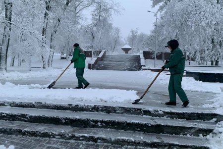 Коммунальщики расчищают снег в пешеходных зонах и убирают поваленные стихией деревья (фото)