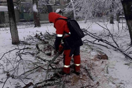 После трех часов дня в городе начали массово падать деревья и ветки: коммунальщики распилили и убрали около сотни единиц (фото)