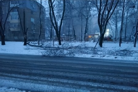 Ночью работу общественного транспорта парализовало из-за обледеневших проводов и упавших деревьев
