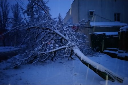 Ночью работу общественного транспорта парализовало из-за обледеневших проводов и упавших деревьев