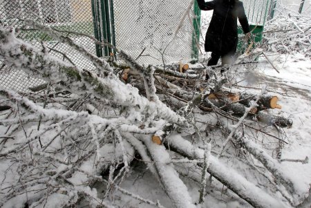 «Объединившись, как настоящие одесситы, мы преодолеем любую непогоду», - Олег Брындак на уборке территории детсада (фото)