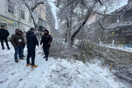 Коммунальщики за сутки совершили более ста выездов по упавшим деревьям: мэр Одессы просит горожан набраться терпения