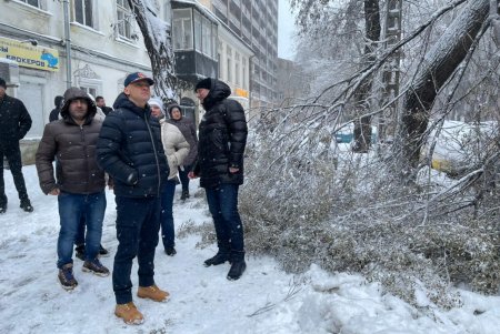 Коммунальщики за сутки совершили более ста выездов по упавшим деревьям: мэр Одессы просит горожан набраться терпения