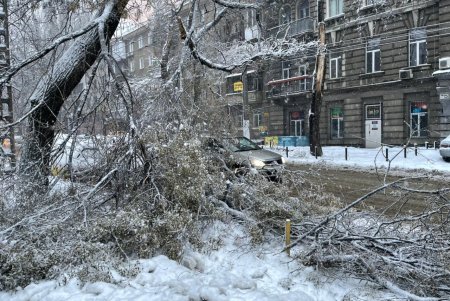 Коммунальщики за сутки совершили более ста выездов по упавшим деревьям: мэр Одессы просит горожан набраться терпения