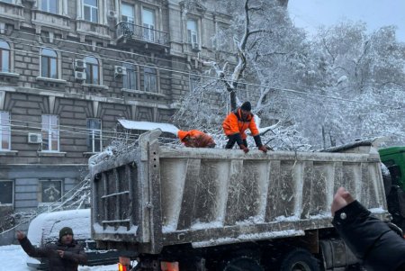Коммунальщики за сутки совершили более ста выездов по упавшим деревьям: мэр Одессы просит горожан набраться терпения