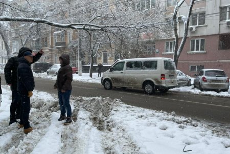 Коммунальщики за сутки совершили более ста выездов по упавшим деревьям: мэр Одессы просит горожан набраться терпения