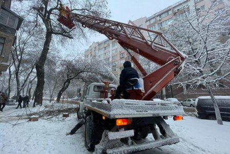 Коммунальщики за сутки совершили более ста выездов по упавшим деревьям: мэр Одессы просит горожан набраться терпения